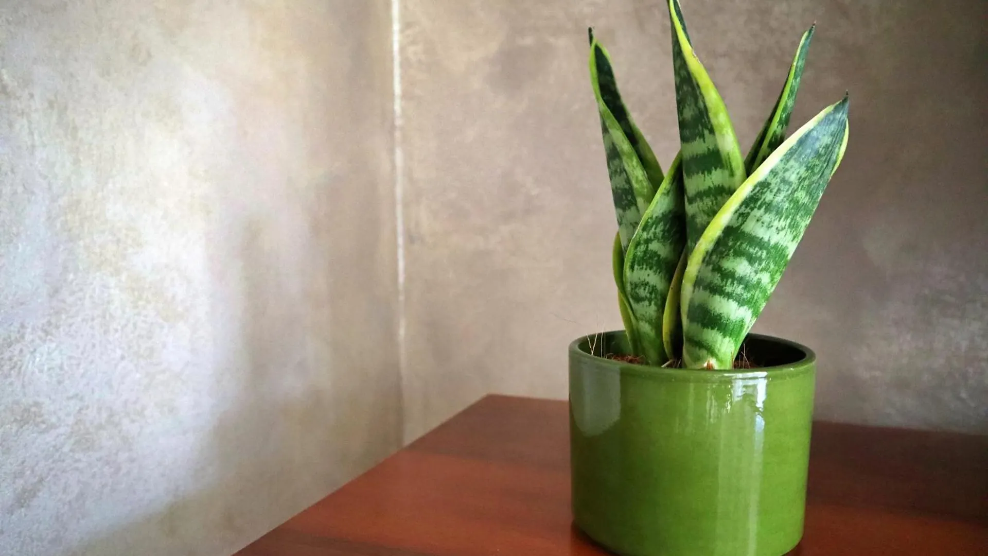Ubytování v soukromí Apartmán 